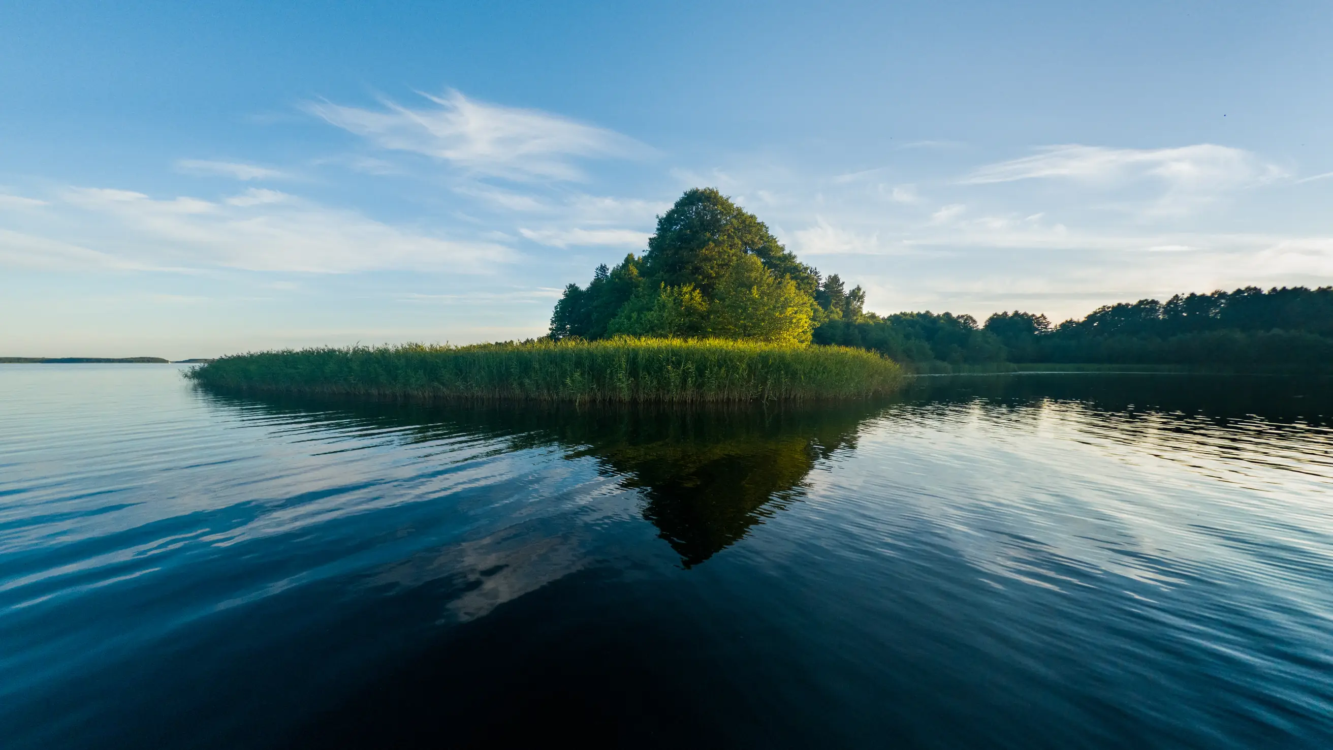 A wooded spit on Lake Usma at golden hour: sunlit trees above a band of reeds, mirrored in still dark water